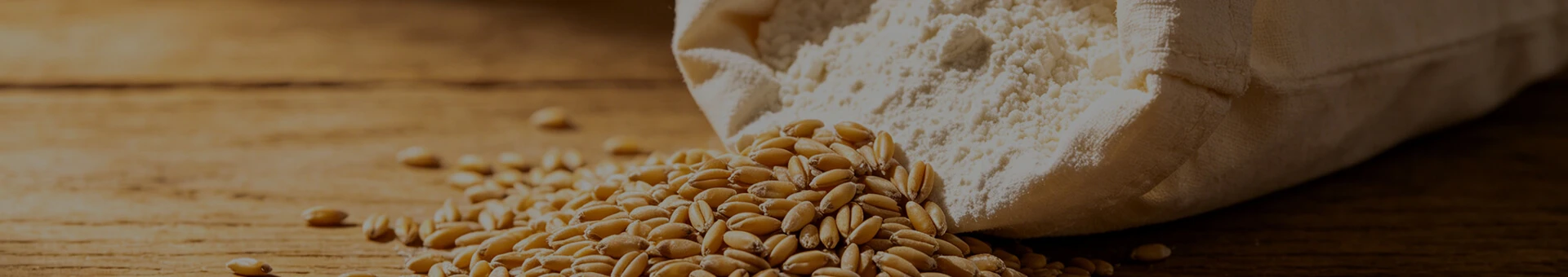ساختار فولادی